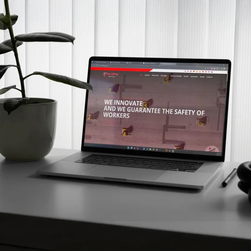 Portfolio Projects Flexlift